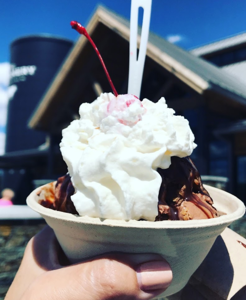 A hand holding a cup of ice cream topped with whipped cream and a cherry against a sunny outdoor backdrop.