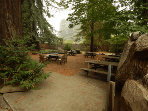 A serene outdoor area with picnic tables surrounded by tall trees and a gravel path, creating a peaceful atmosphere.
