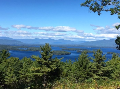 A scenic view of a lake surrounded by lush greenery and mountains under a clear blue sky with fluffy clouds.