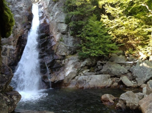 A serene waterfall cascading over rocky cliffs into a clear pool, surrounded by lush green trees.