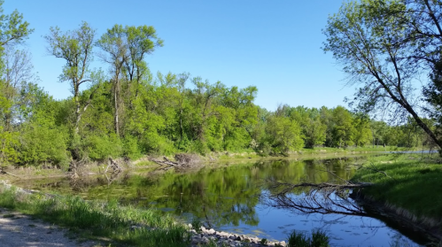 A serene river scene with lush green trees and clear blue skies reflecting in the water.