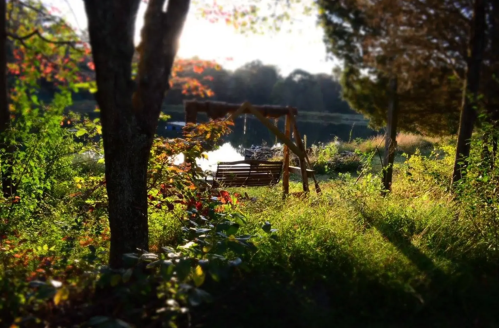 A serene outdoor scene featuring a swing near a calm lake, surrounded by trees and colorful foliage.