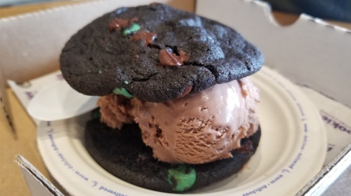 A chocolate cookie sandwich with chocolate ice cream and green mint chips, served on a paper plate.