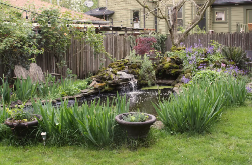 A serene garden with a pond, waterfall, and lush greenery, surrounded by colorful flowers and plants.