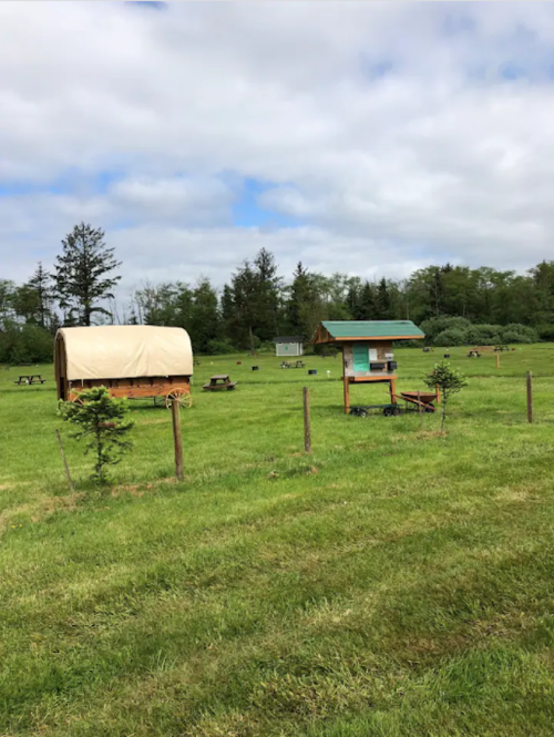 A grassy field with a covered wagon and a small wooden structure, surrounded by trees and picnic areas.