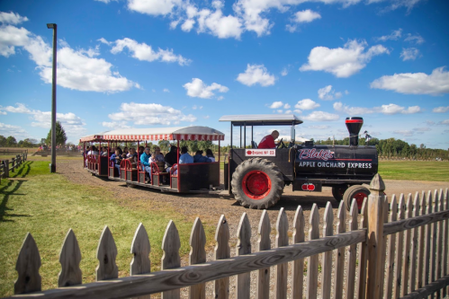 A tractor-pulled train with passengers rides through an apple orchard under a blue sky with fluffy clouds.