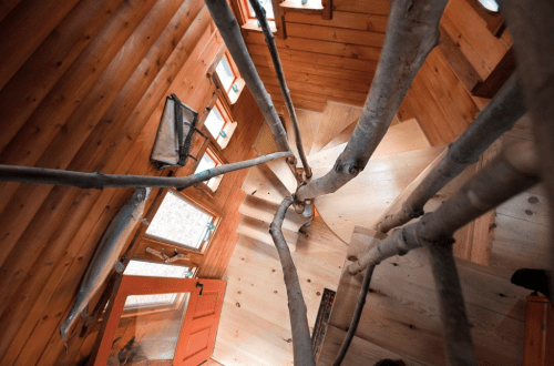 A unique wooden staircase surrounded by tree branches, with orange doors and natural wood walls.