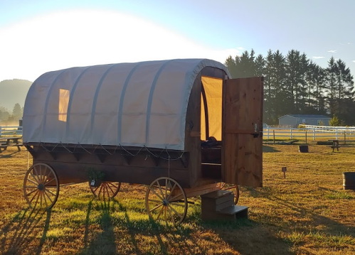 A wooden wagon with a canvas cover sits in a grassy field, illuminated by morning light, with trees in the background.