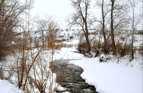 A winding river flows through a snowy landscape, surrounded by bare trees and gentle hills in the background.
