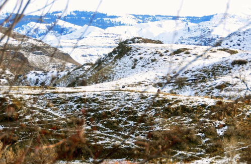 Snow-covered hills and mountains under a cloudy sky, with sparse vegetation and a hint of winter scenery.