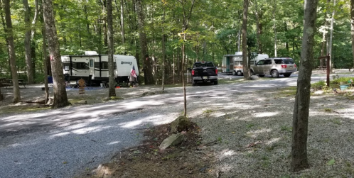 Two RVs parked on a gravel road in a wooded campsite, surrounded by trees and greenery.