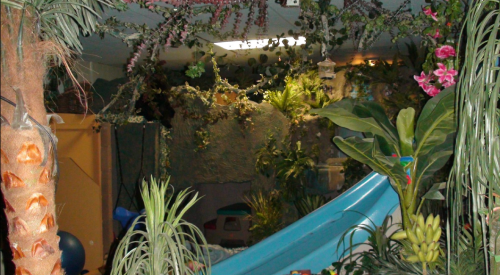 A vibrant indoor play area with a slide, surrounded by lush greenery and tropical plants.