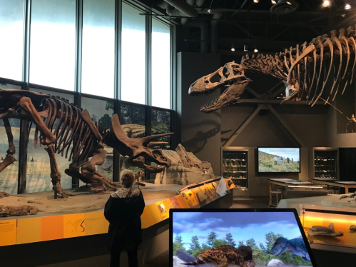 A visitor observes dinosaur skeletons in a museum exhibit, with screens displaying prehistoric landscapes in the background.