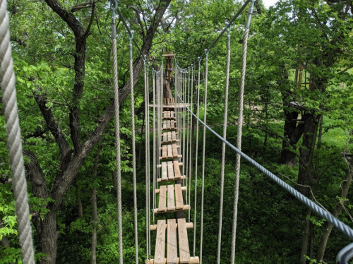 A wooden suspension bridge stretches between trees, surrounded by lush green foliage.