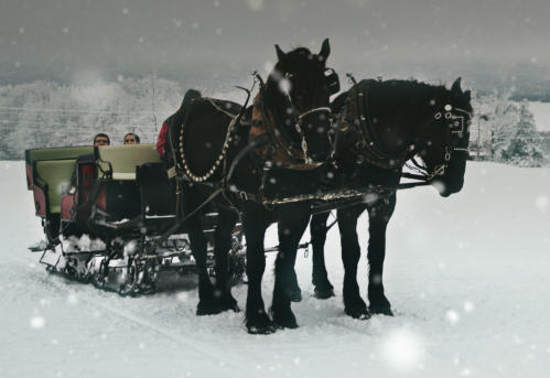 Two black horses pull a sleigh through a snowy landscape, with people seated inside, as snowflakes gently fall.