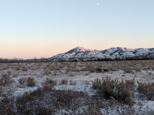 A snowy landscape with mountains in the background and a clear sky, featuring a crescent moon.