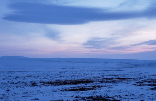 A serene winter landscape with a snowy field under a pastel sky at dusk, featuring soft clouds and distant hills.