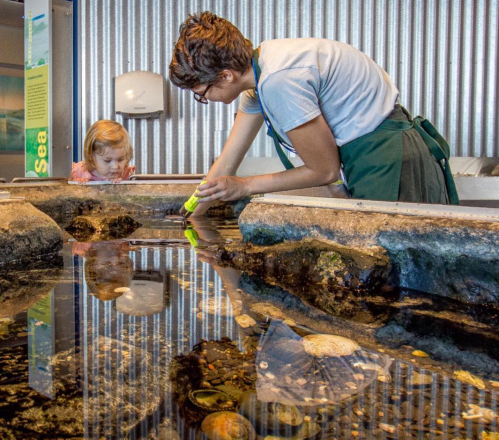 A caregiver and a child explore a tide pool exhibit, observing marine life and using tools to interact with the water.