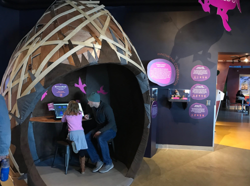 A child and adult interact at a digital display inside a large, egg-shaped structure in a colorful exhibit space.