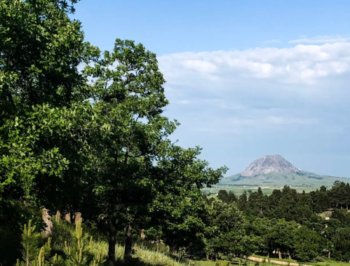 A scenic view featuring green trees in the foreground and a distant mountain under a blue sky.