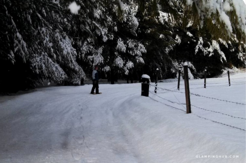 A person snowshoeing on a snowy path surrounded by trees and a fence in a winter landscape.