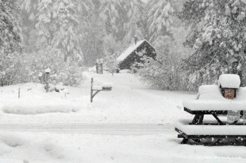 A snowy landscape with a cabin, trees, and a picnic table covered in snow, creating a serene winter scene.