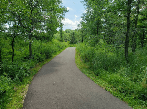 A winding path through a lush green forest under a bright blue sky.