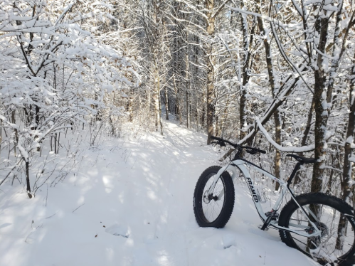 A fat bike rests on a snowy trail surrounded by trees blanketed in fresh snow.