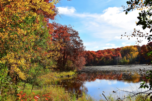 A serene lake surrounded by vibrant autumn foliage in shades of red, orange, and yellow under a clear blue sky.