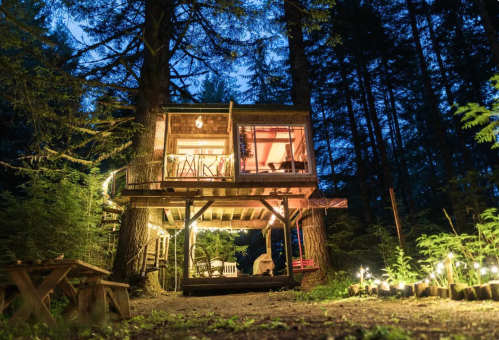 A cozy treehouse illuminated at night, surrounded by tall trees and soft outdoor lighting.
