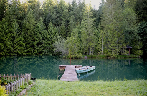 A serene lake surrounded by lush green trees, with a wooden dock and a small boat moored nearby.
