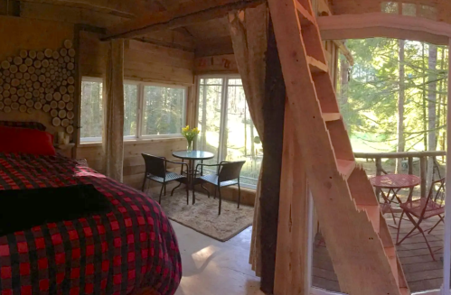 Cozy wooden cabin interior with a bed, dining table, and large windows overlooking a forested area.