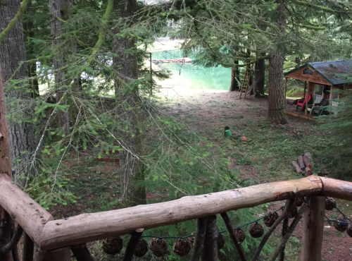 A serene forest scene with trees, a wooden railing, and a glimpse of a green lake in the background.