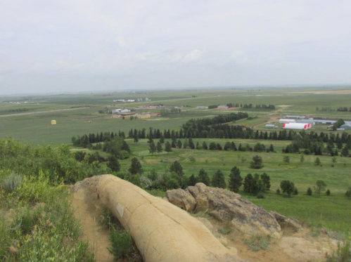 A panoramic view of rolling green fields and farms, with trees and a rocky foreground under a cloudy sky.