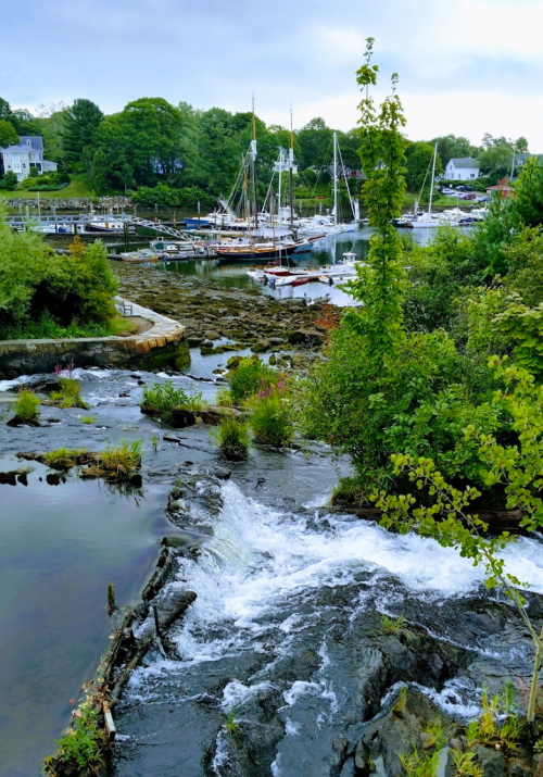 A serene harbor scene with boats, lush greenery, and a small waterfall flowing into the water.