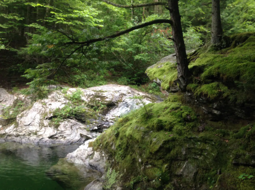 A serene forest scene with moss-covered rocks and a calm stream surrounded by lush green trees.