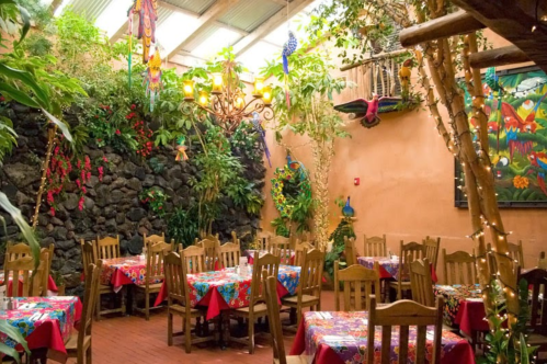 Colorful restaurant interior with wooden tables, vibrant tablecloths, lush plants, and decorative lighting.