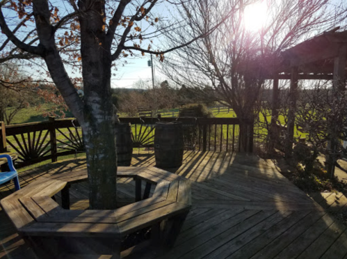 A wooden deck with an octagonal seating area around a tree, sunlight shining through branches, and green fields in the background.