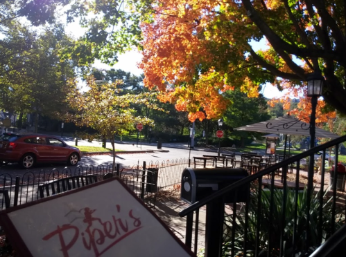 A sunny street scene with colorful autumn leaves, a restaurant sign, and parked cars in a quiet neighborhood.