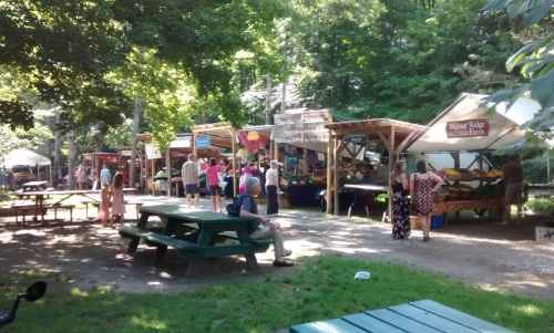 A bustling outdoor market with vendors, people browsing, and shaded picnic areas surrounded by trees.