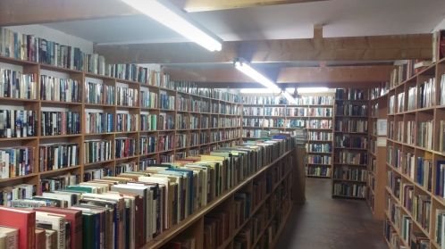 A cozy bookstore interior with shelves lined with numerous books, illuminated by overhead lights.