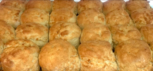 A close-up of freshly baked golden-brown biscuits arranged in a neat grid.