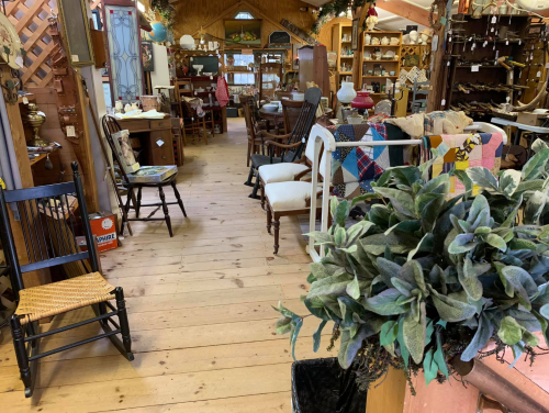 A cozy antique shop interior with wooden floors, various furniture, and decorative items, including a potted plant.
