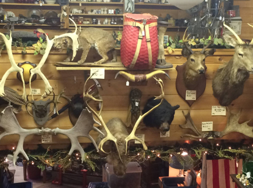 A wall display featuring various mounted animal heads and antlers, alongside a red woven backpack and decorative items.