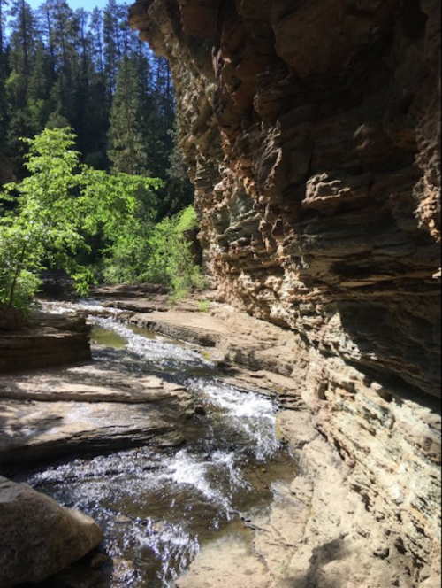 A serene stream flows through a rocky landscape, surrounded by lush greenery and tall trees.