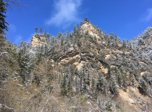Snow-covered cliffs rise above a forest of evergreen trees under a bright blue sky.
