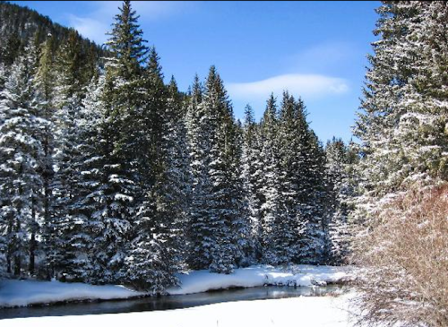 A serene winter landscape featuring snow-covered trees and a calm river under a clear blue sky.