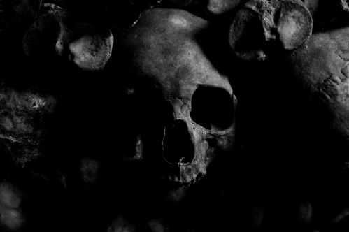 A close-up of dark, weathered skulls arranged closely together, creating a haunting and eerie atmosphere.