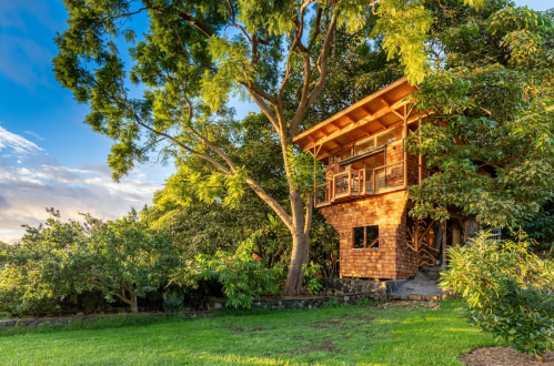 A wooden treehouse nestled among lush green trees under a bright blue sky.