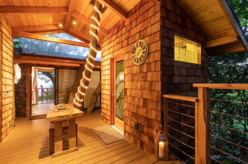 Cozy wooden treehouse interior with warm lighting, a spiral tree trunk, and a welcoming entrance.